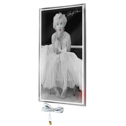 $8880.40 - 450W, 110V/1F/60Hz, 3.5A, 90x60x4 cm, Marilyn Monroe Ballerina, Litografiado, MXCBH-001, Empaque: 95X65X6 cm, 8kg, Envío: 8 Días