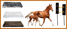  Calefactores: Granjas, Animales y Plantas
